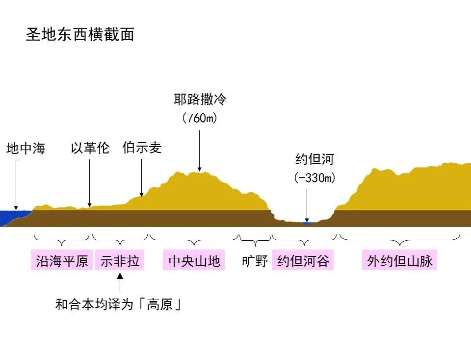 圣经图表——《俄巴底亚书》(图22)