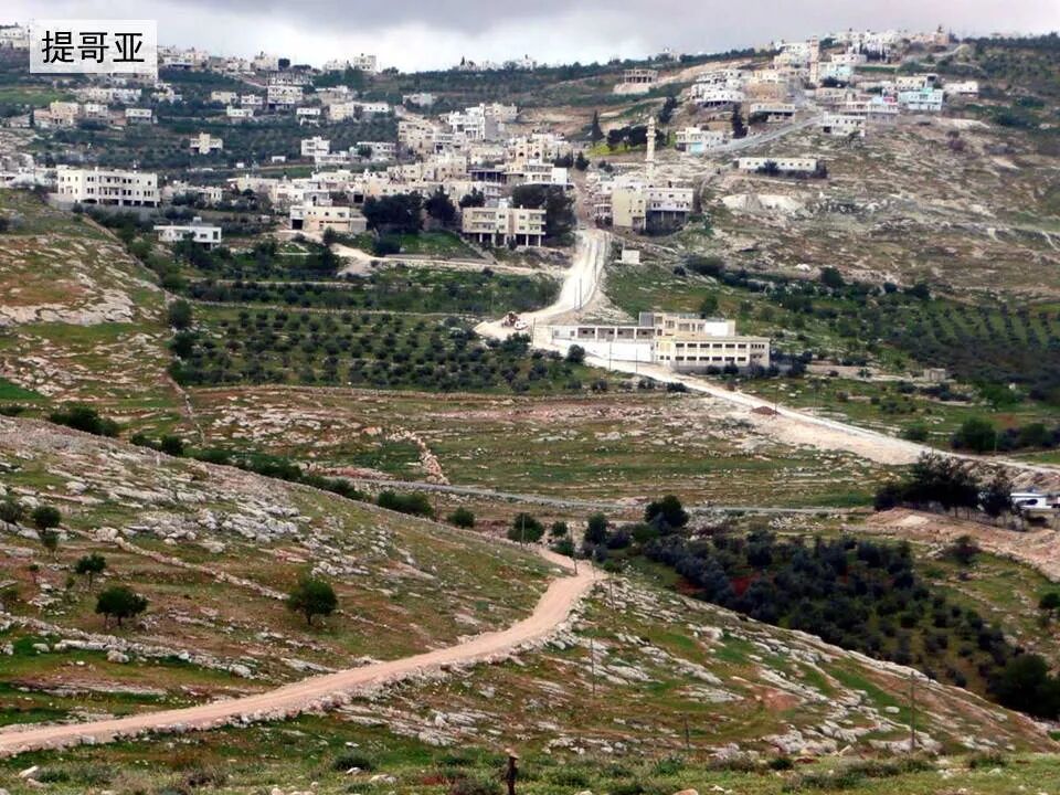 圣经图表——《阿摩司书》(图3)