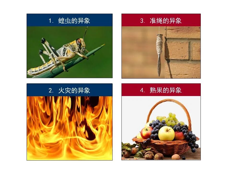 圣经图表——《阿摩司书》(图41)