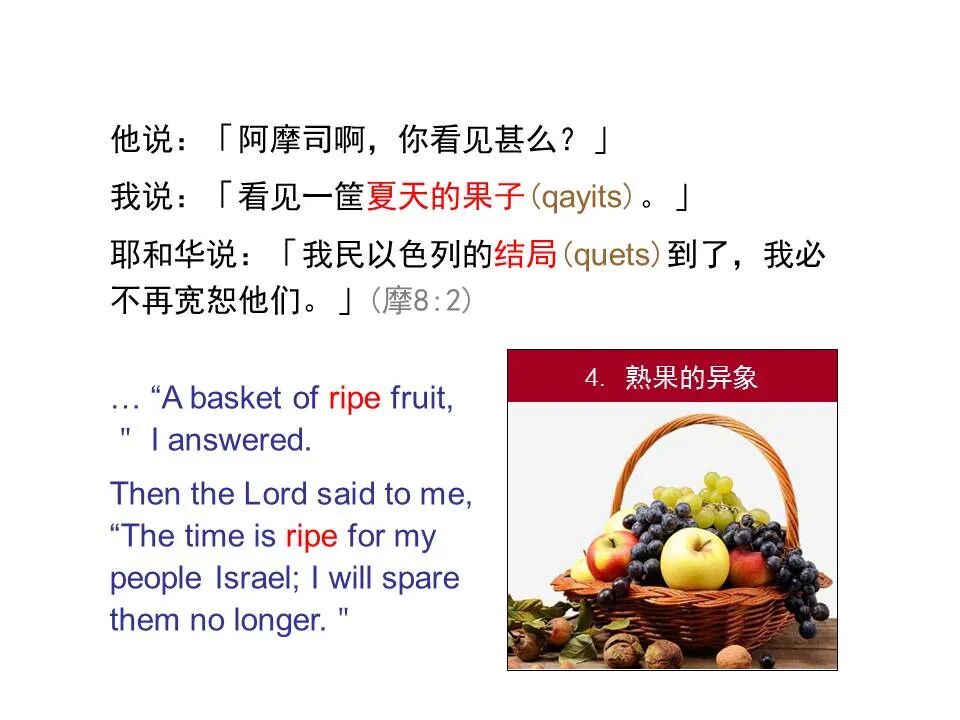 圣经图表——《阿摩司书》(图42)