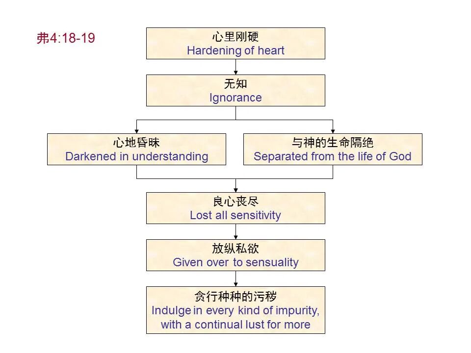 圣经图表——《以弗所书》(图83)