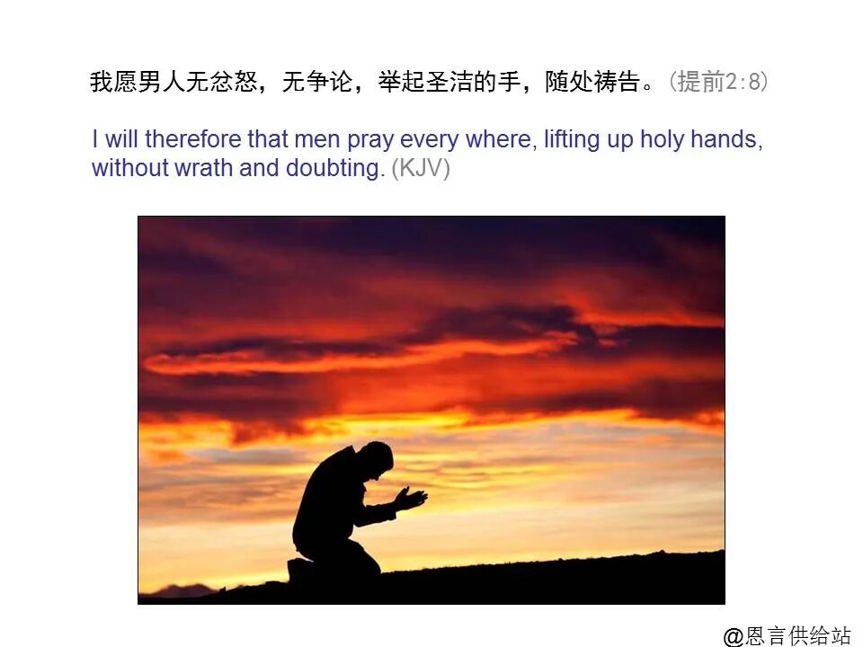 圣经图表——《提摩太前书》(图26)