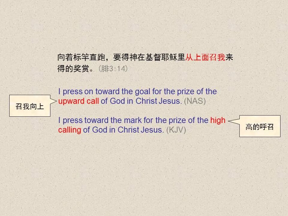 圣经图表——《腓立比书》(图64)