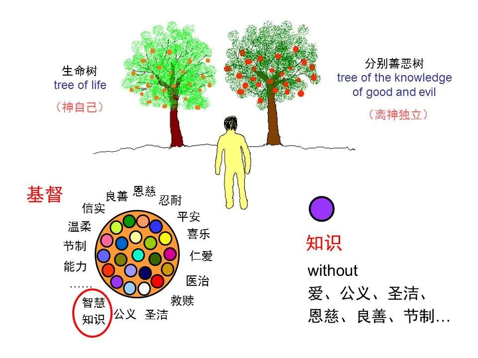圣经图表——《歌罗西书》(图19)