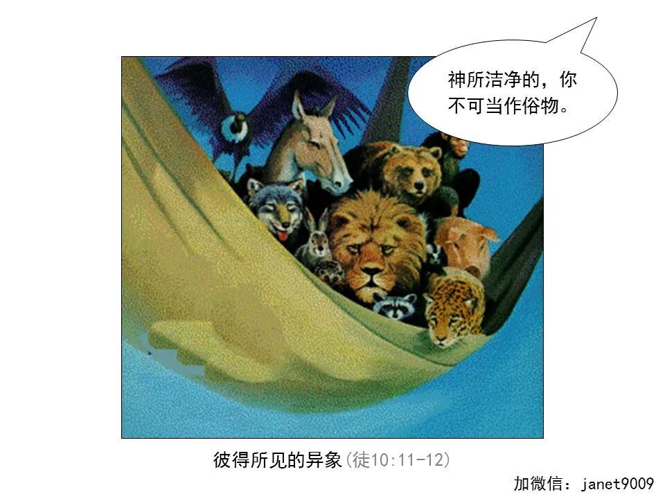 圣经图表——《提摩太前书》(图46)