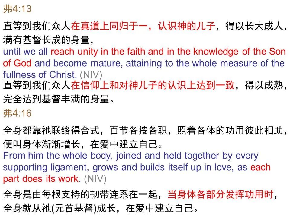 圣经图表——《以弗所书》(图82)