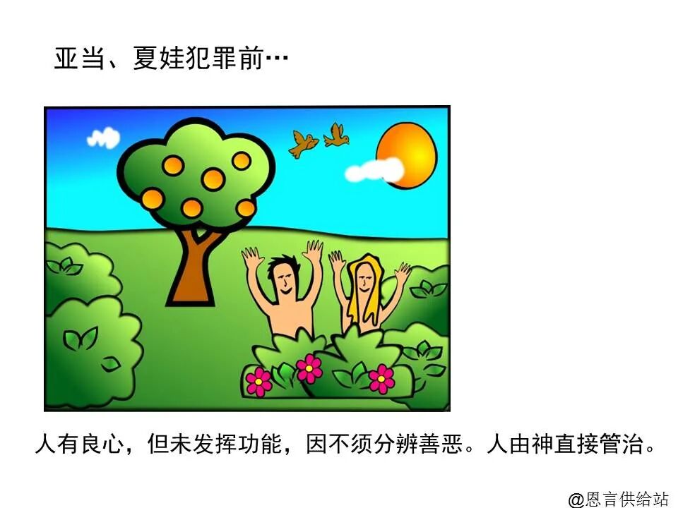 圣经图表——《提摩太前书》(图10)