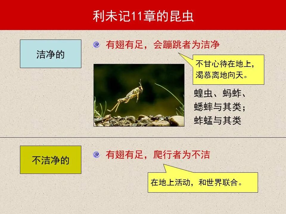 圣经图表——《腓立比书》(图65)