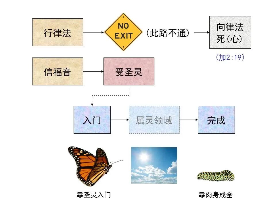 圣经图表——《加拉太书》(图25)