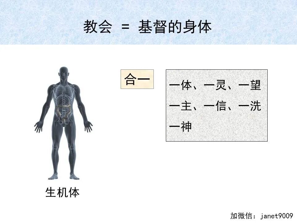 圣经图表——《以弗所书》(图74)
