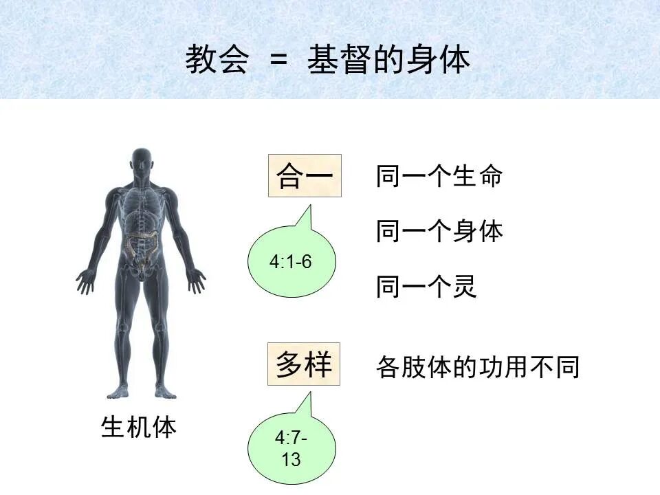 圣经图表——《以弗所书》(图75)