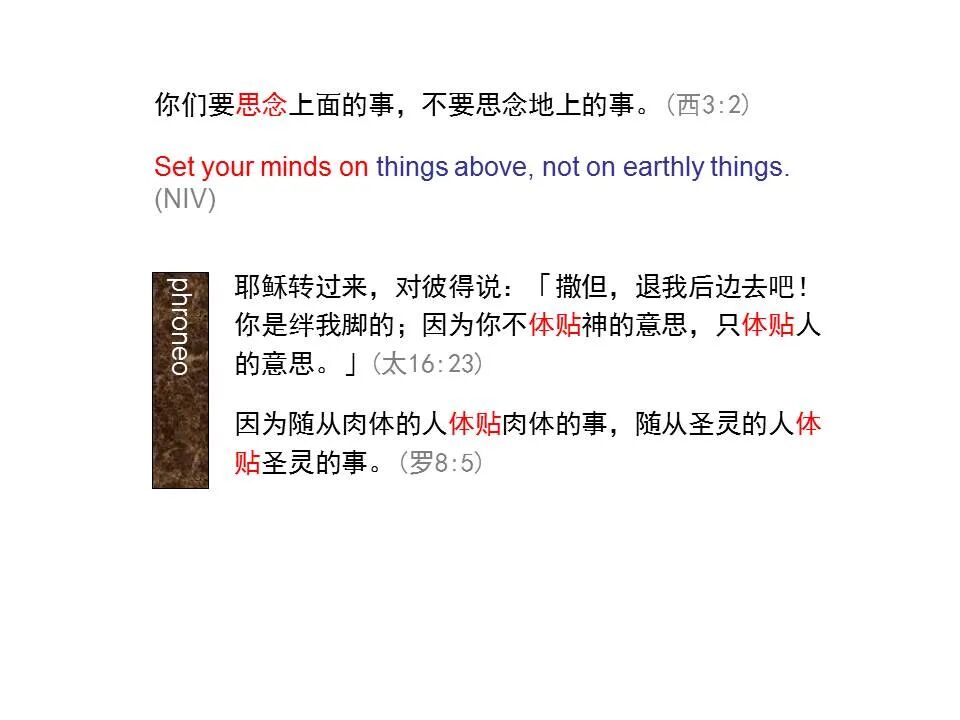 圣经图表——《歌罗西书》(图43)