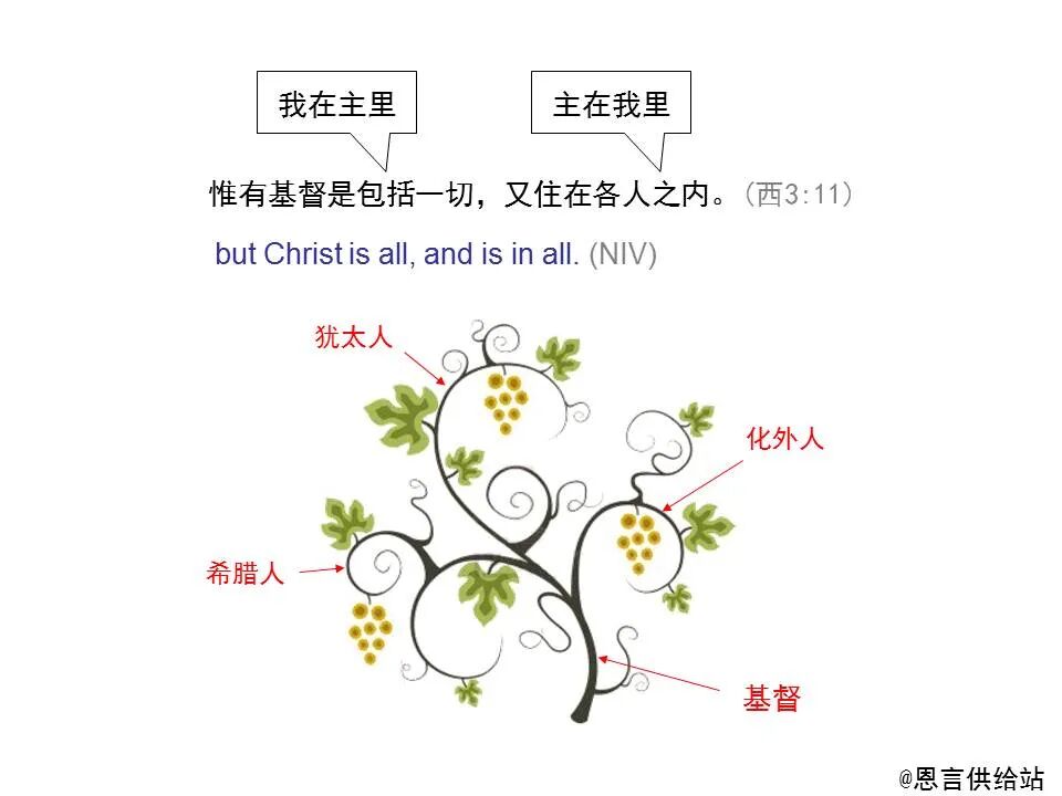 圣经图表——《歌罗西书》(图50)