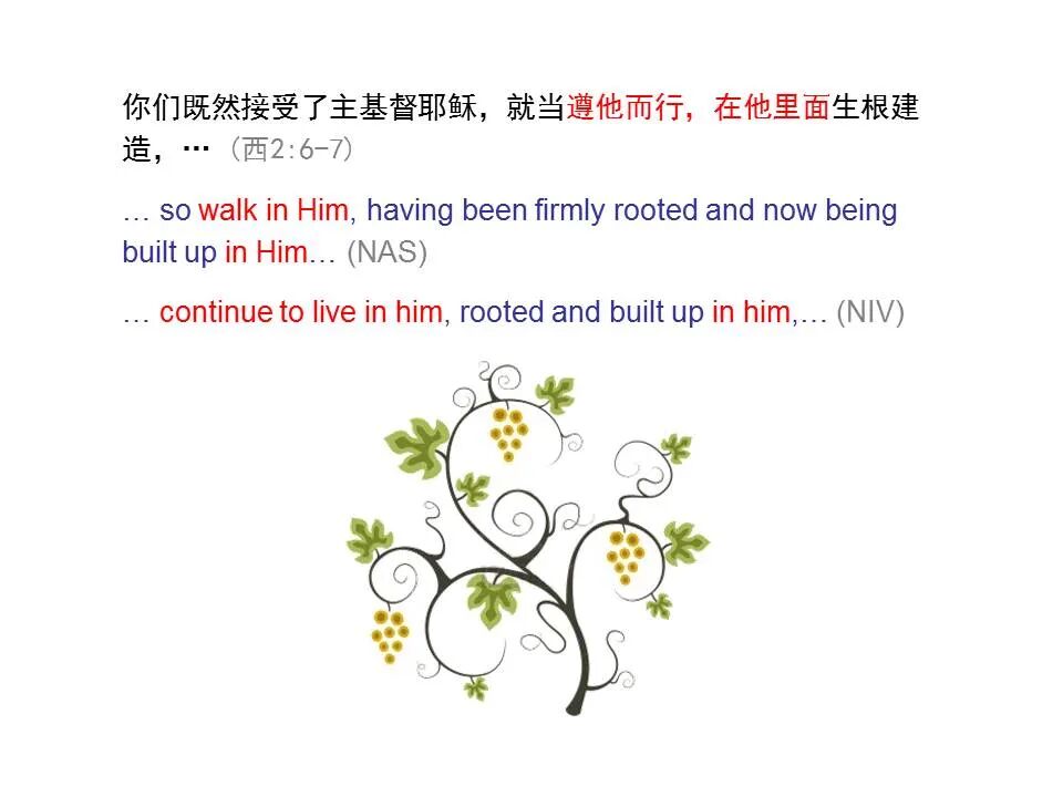 圣经图表——《歌罗西书》(图30)