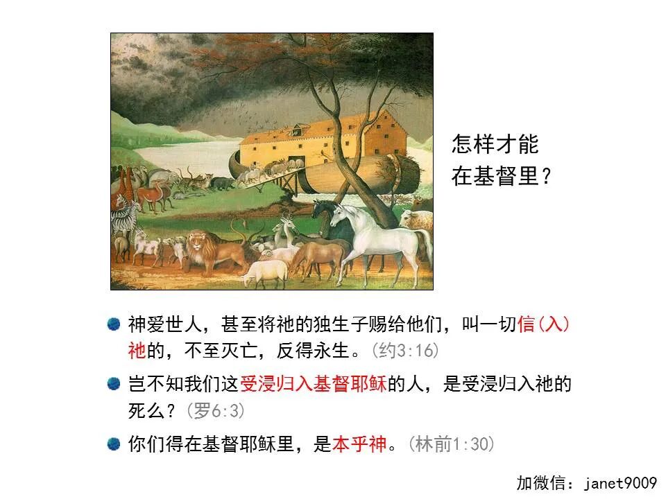 圣经图表——《以弗所书》(图26)