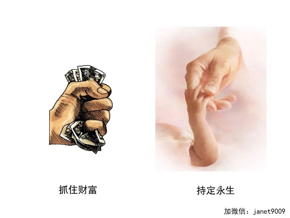 圣经图表——《提摩太前书》(图59)