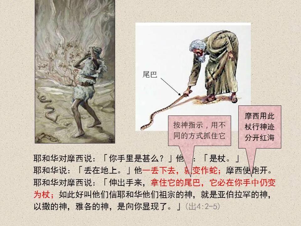 圣经图表——《腓立比书》(图55)