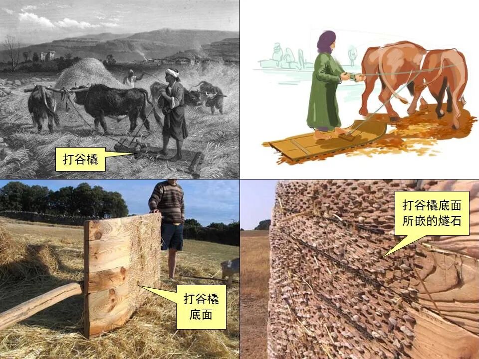 圣经图表——《提摩太前书》(图53)