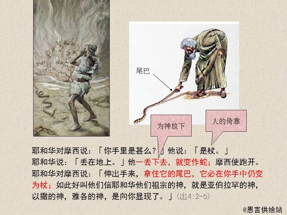 圣经图表——《腓立比书》(图53)