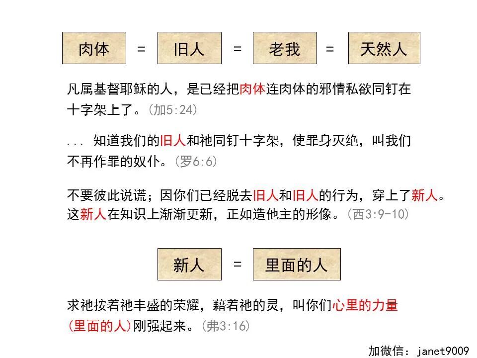 圣经图表——《加拉太书》(图56)