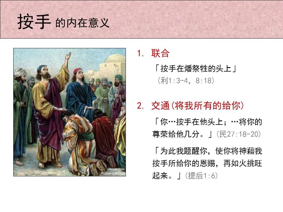 圣经图表——《提摩太前书》(图54)