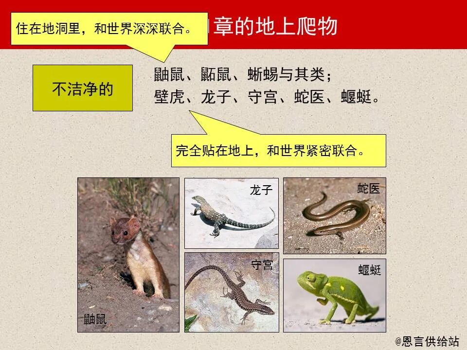 圣经图表——《腓立比书》(图66)