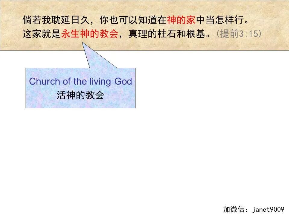 圣经图表——《提摩太前书》(图37)