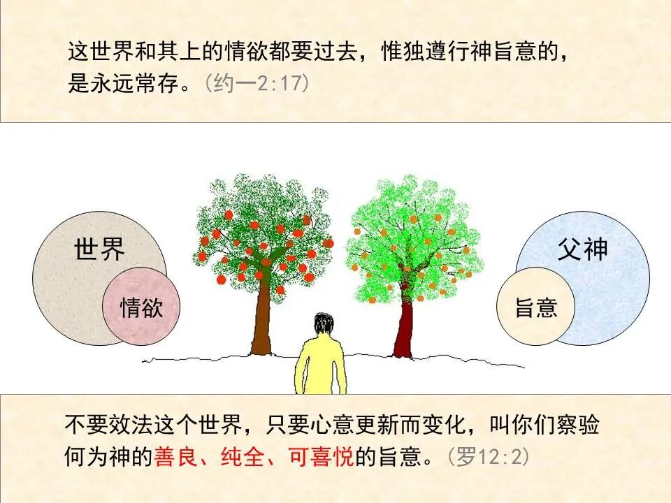 圣经图表——《约翰一、二、三书》(图21)
