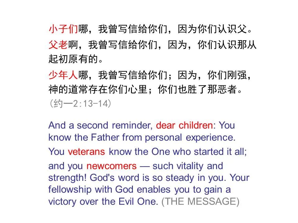 圣经图表——《约翰一、二、三书》(图11)