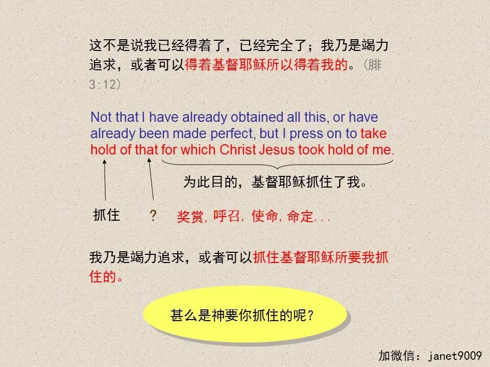 圣经图表——《腓立比书》(图61)