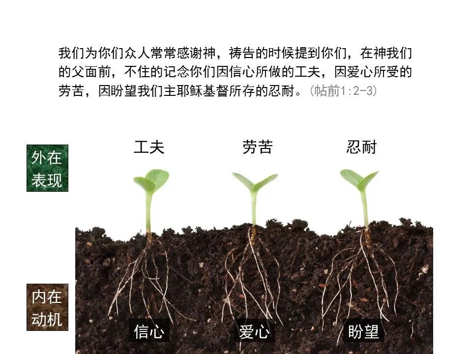 圣经图表——《帖撒罗尼迦前、后书》(图19)