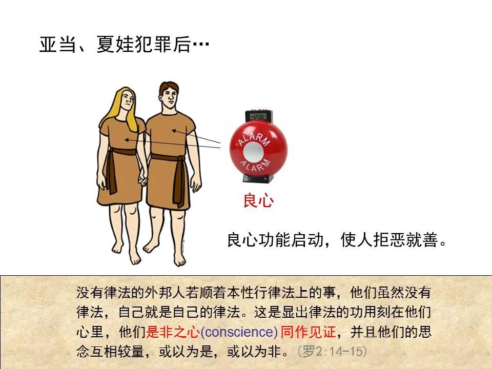 圣经图表——《提摩太前书》(图11)