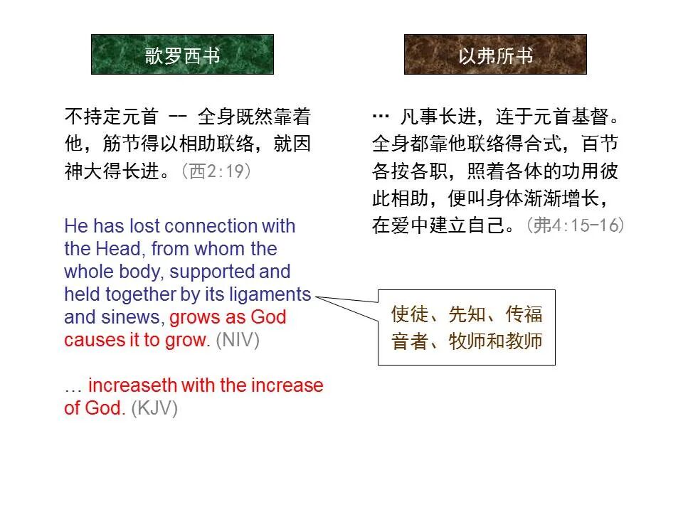 圣经图表——《歌罗西书》(图40)