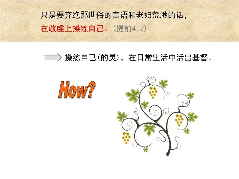 圣经图表——《提摩太前书》(图50)