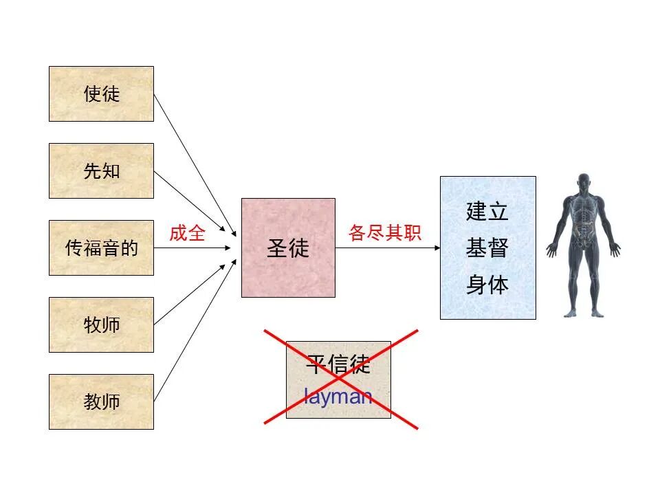 圣经图表——《以弗所书》(图81)