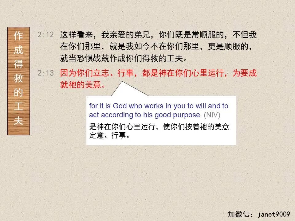 圣经图表——《腓立比书》(图43)