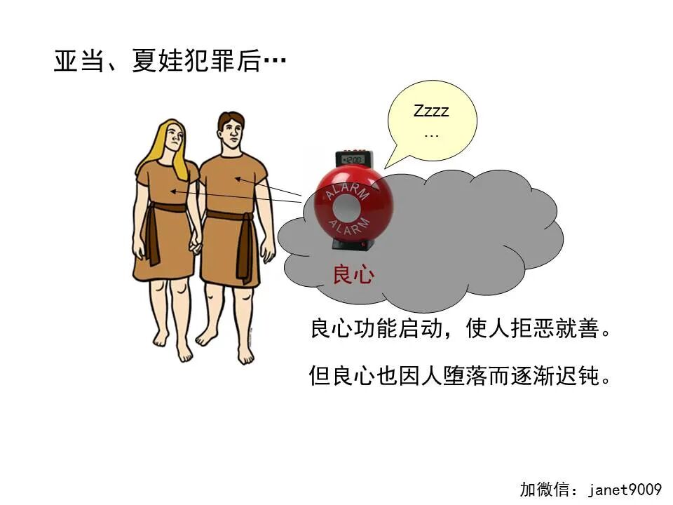 圣经图表——《提摩太前书》(图12)