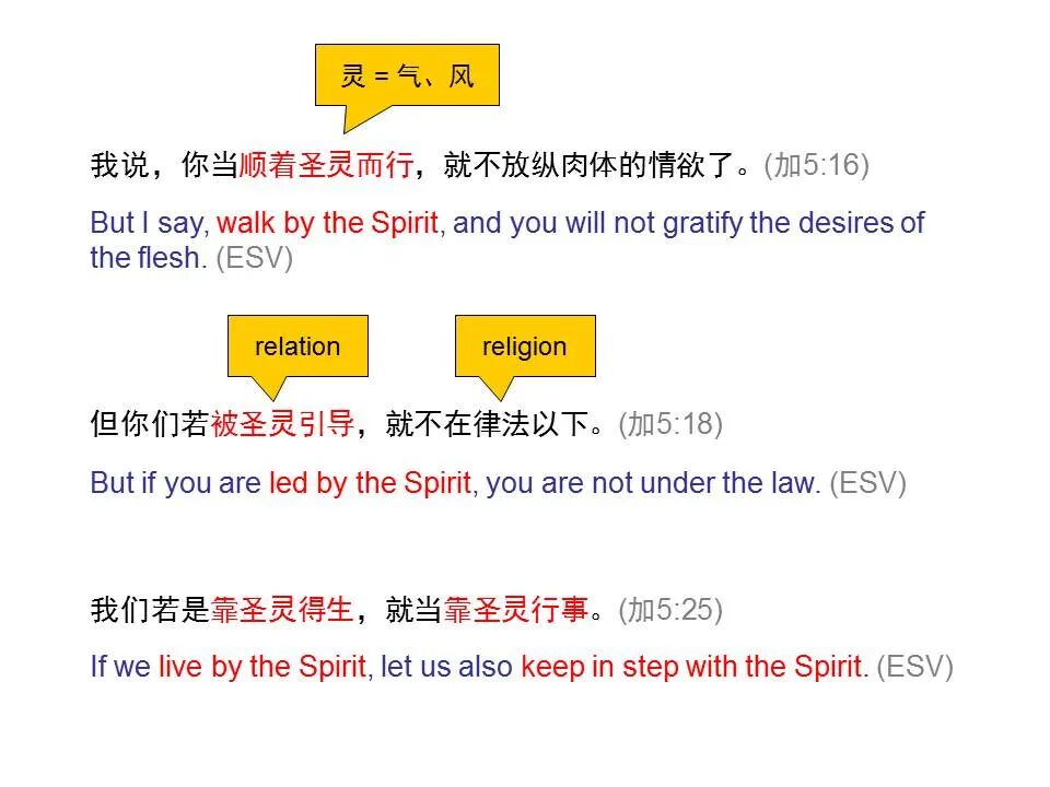 圣经图表——《加拉太书》(图53)