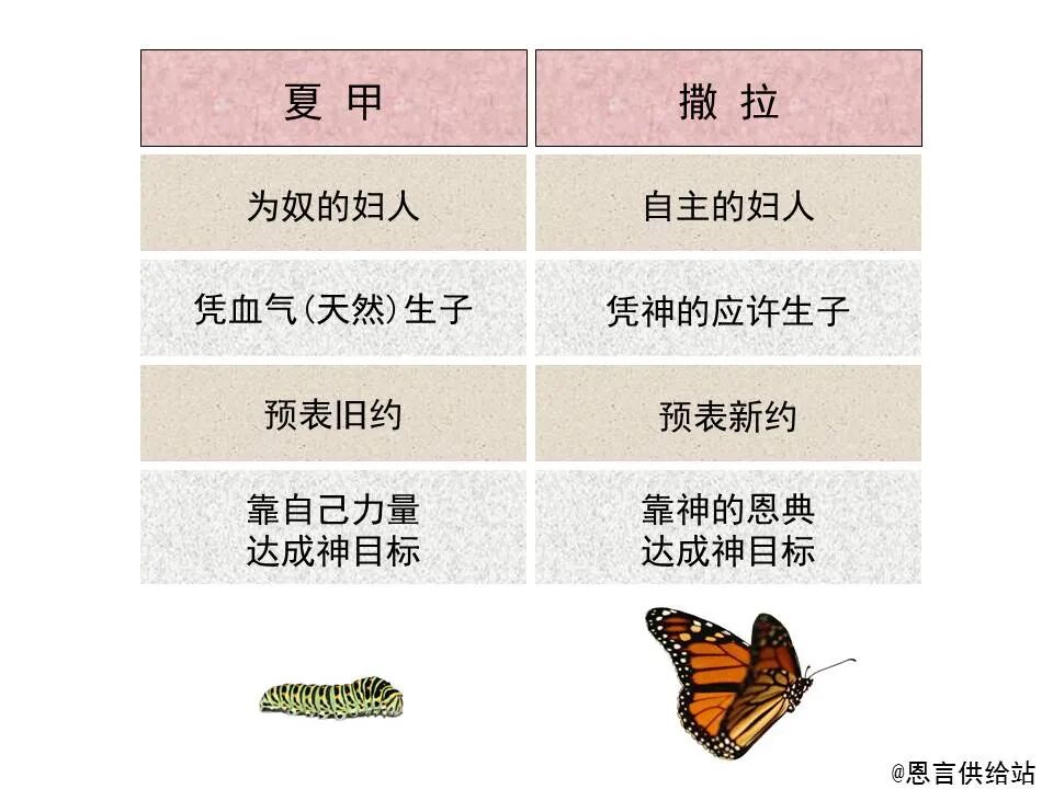 圣经图表——《加拉太书》(图44)