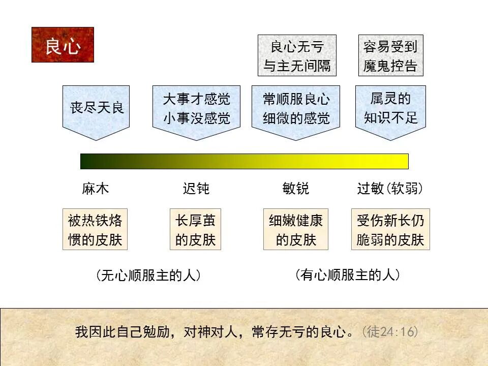 圣经图表——《提摩太前书》(图16)