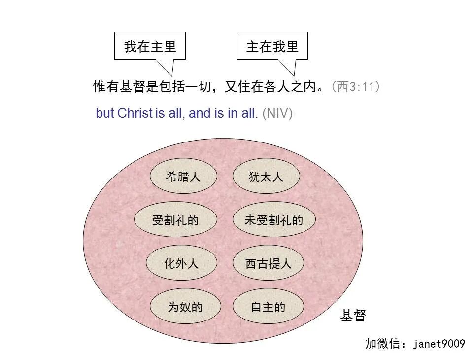 圣经图表——《歌罗西书》(图49)