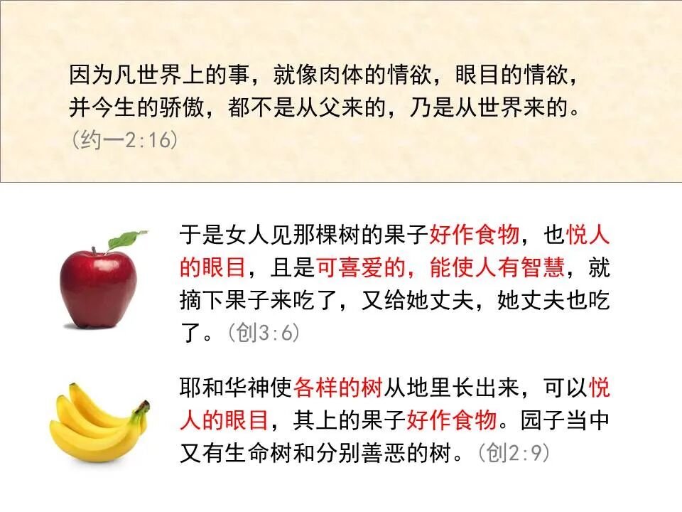 圣经图表——《约翰一、二、三书》(图22)