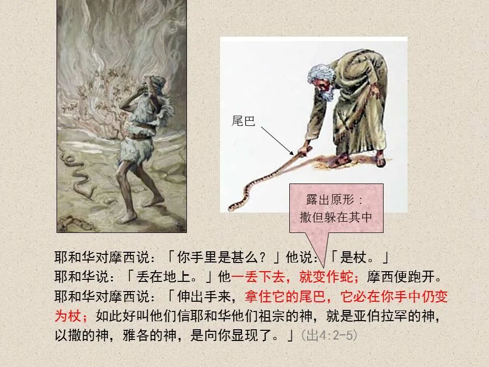 圣经图表——《腓立比书》(图54)