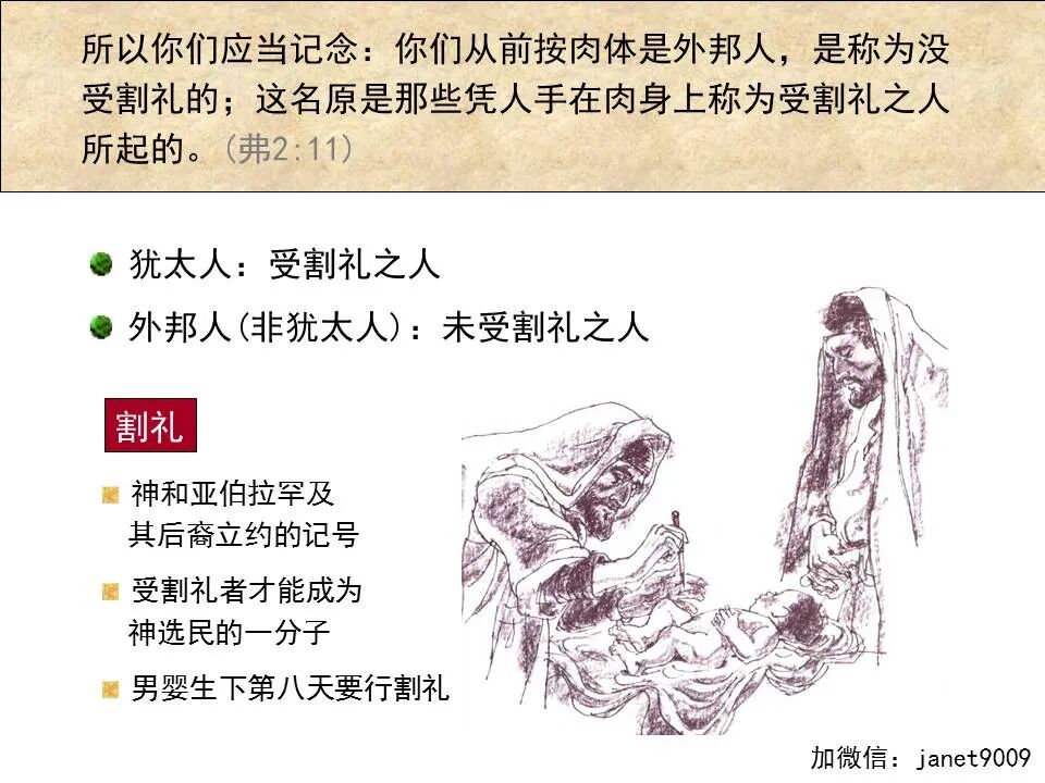 圣经图表——《以弗所书》(图48)