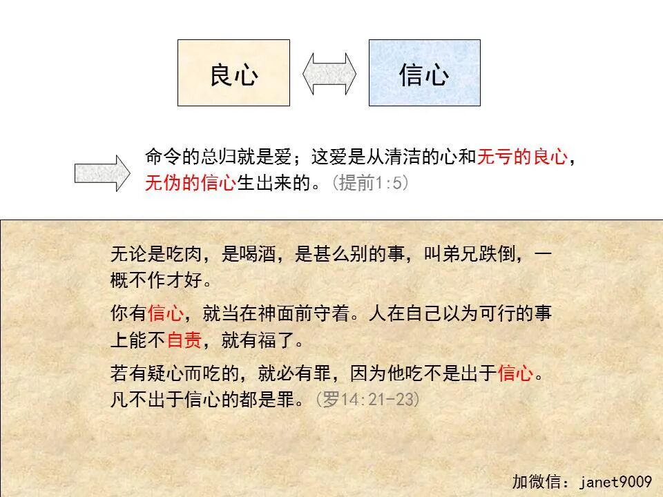 圣经图表——《提摩太前书》(图24)