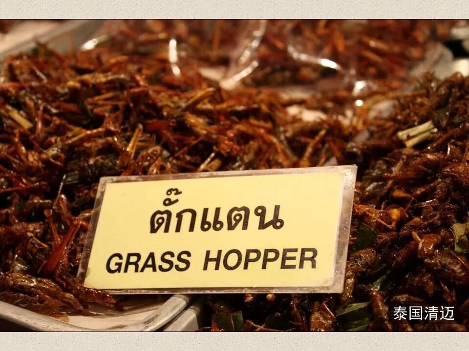 圣经图表——《约珥书》(图24)