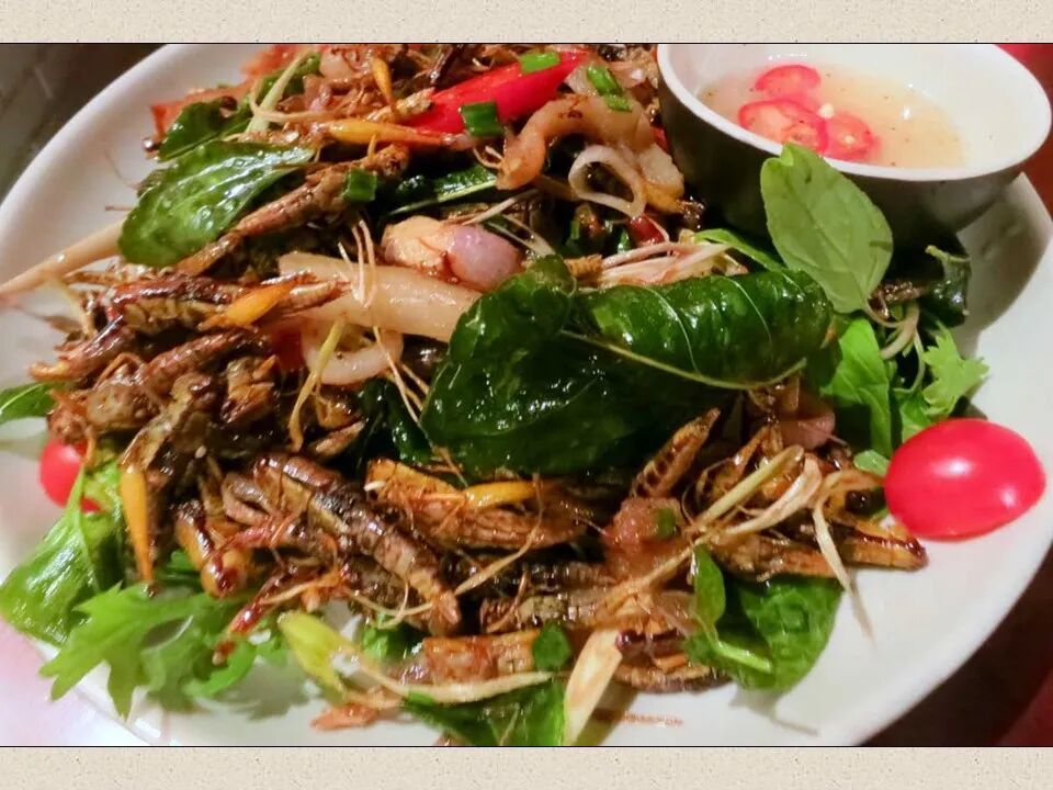 圣经图表——《约珥书》(图22)