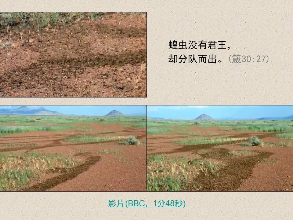 圣经图表——《约珥书》(图19)