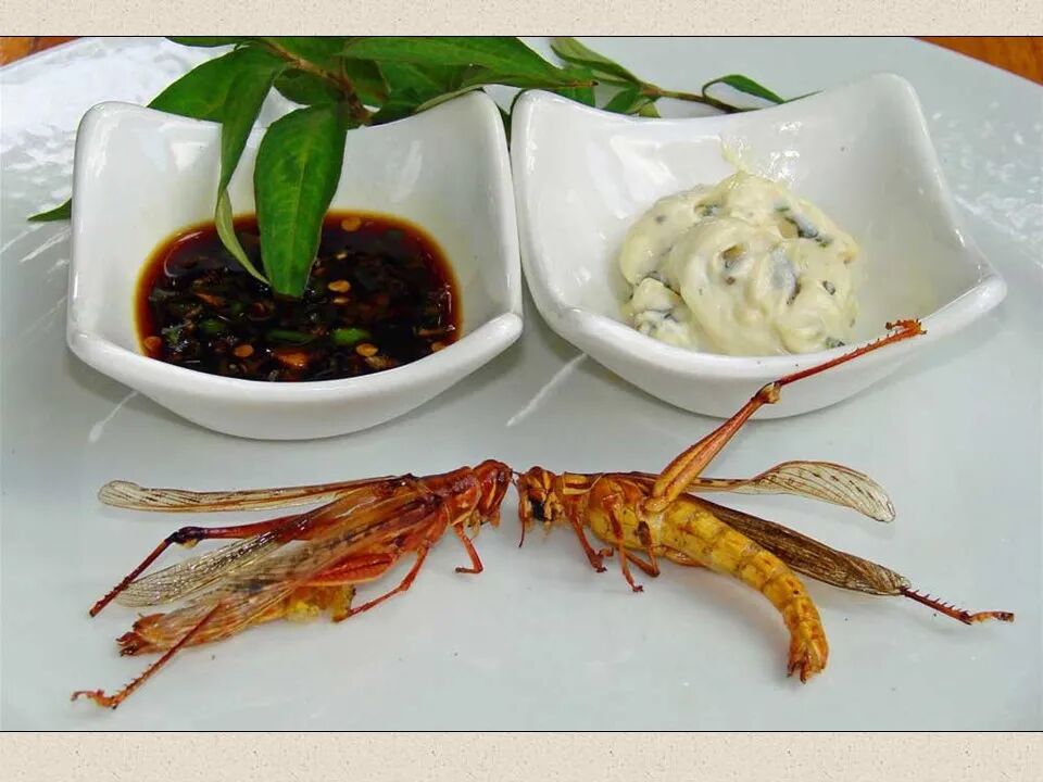 圣经图表——《约珥书》(图21)