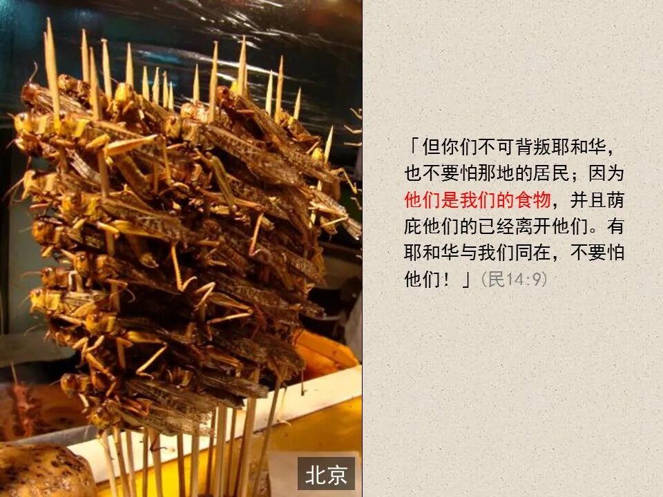 圣经图表——《约珥书》(图23)